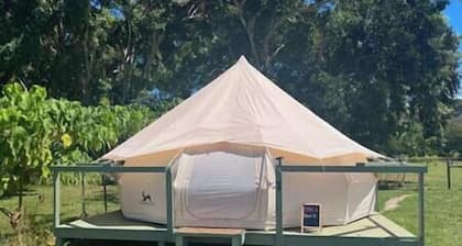 Hawaii Camping Close to Hukilau Beach, Laie #1