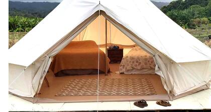 #5 North Shore Oahu Camping / Glamping Tent Laie