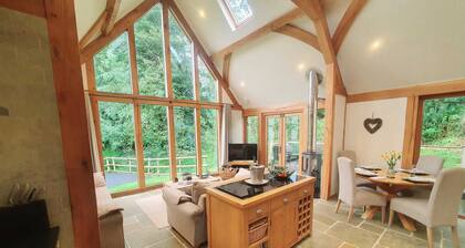 Swn Y Nant lodge with hot tub Brecon