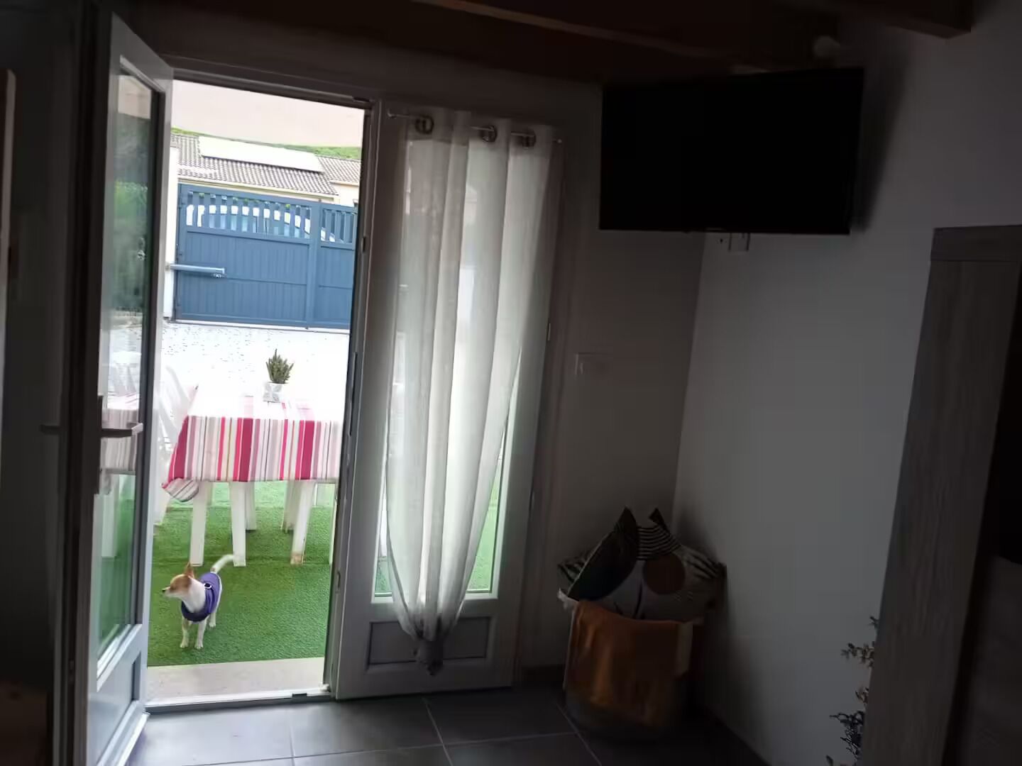 A room with a sliding glass door leading to a patio with a table and chairs, a small dog, and a TV mounted on the wall.