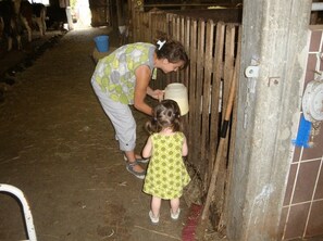 Miscellaneous - Camping 3 étoiles - ccaidff (Beaulieu)