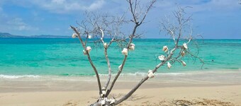 Coastal Casual-Amazing Caribbean Sea views, Christiansted Harbor and Buck Island
