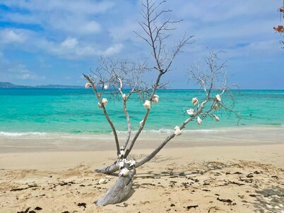Coastal Casual-Amazing Caribbean Sea views, Christiansted Harbor and Buck Island