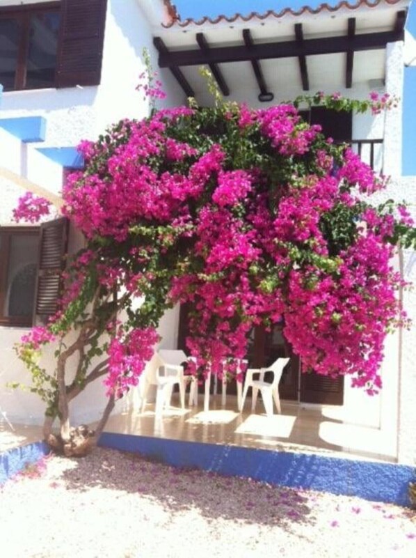 Terras