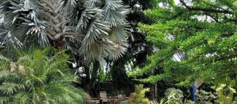 Welcome to Namangi Cabin!