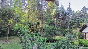 A lush garden with a variety of plants and trees, a stone pathway, and a small brick structure. - Country houses in Avandaro, 700 m. of commercial area Avandaro (Valle de Bravo)