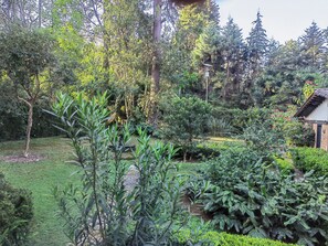 Property grounds - Country houses in Avandaro, 700 m. of commercial area Avandaro (Valle de Bravo)