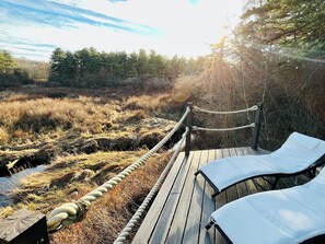 Property grounds - Home with SPA ROOM, steam shower, sauna, hot tub! 8 beds (Long Pond)