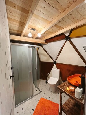 A compact, sloped-roof bathroom with a shower, toilet, and sink.