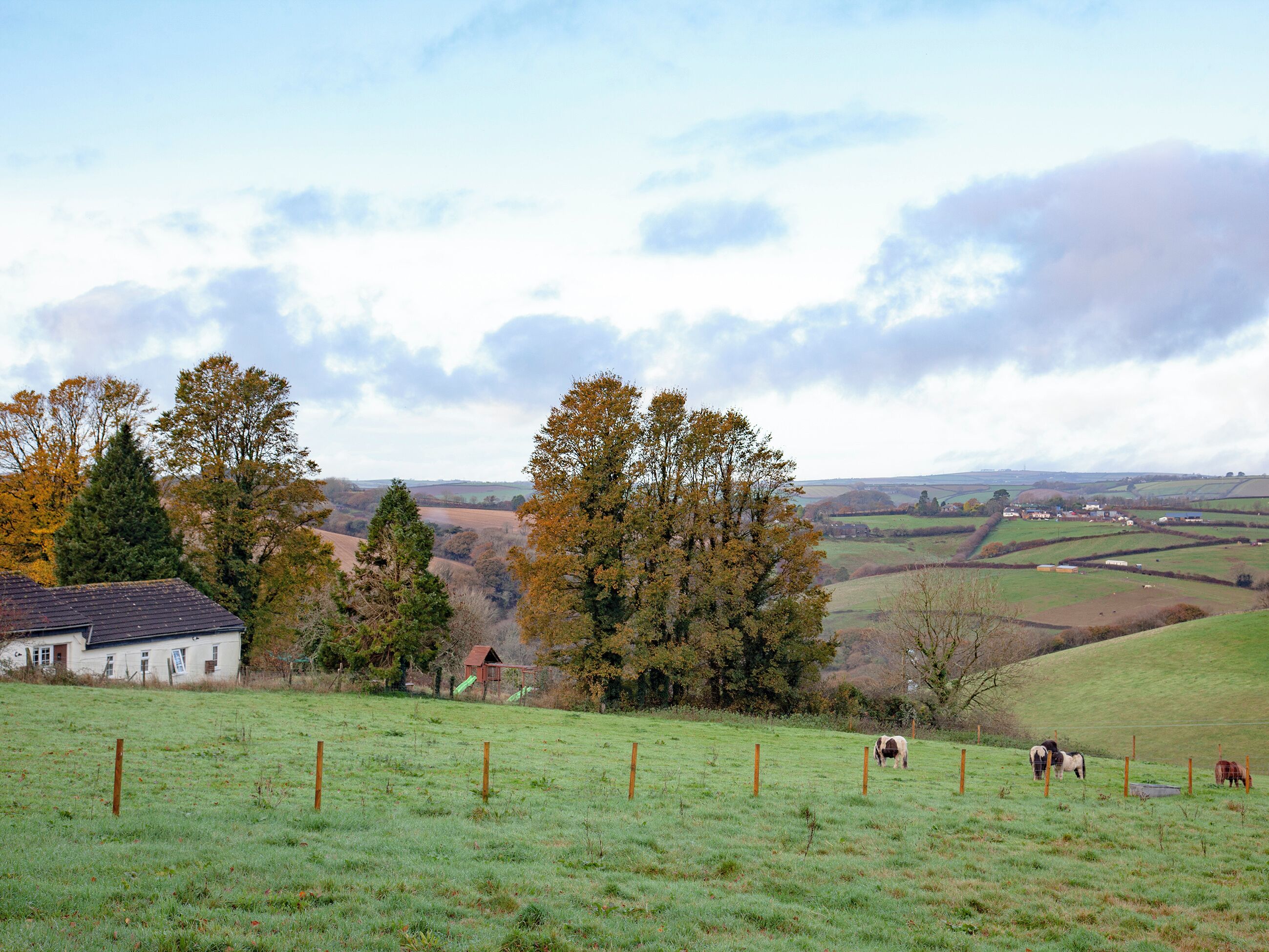 Un paysage rural avec une maison, un champ clôturé et des chevaux qui paissent.