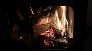 Ein Kaminofen mit sichtbaren Flammen und Holzscheiten.