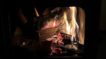 Cabin | Fireplace