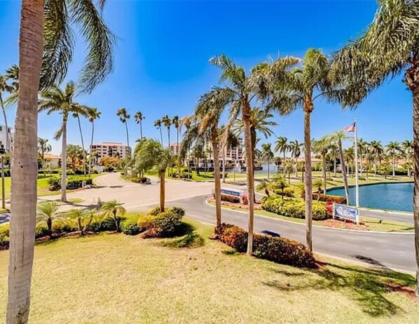 A well-maintained resort area with palm trees, a swimming pool, and a clear blue sky.