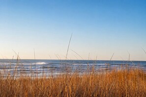 Une plage avec de l’herbe sèche au premier plan et un ciel dégagé.