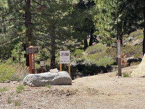 Explore the Castle Rock Trail and Peregrine Falcon Nest from this scenic trailhead.