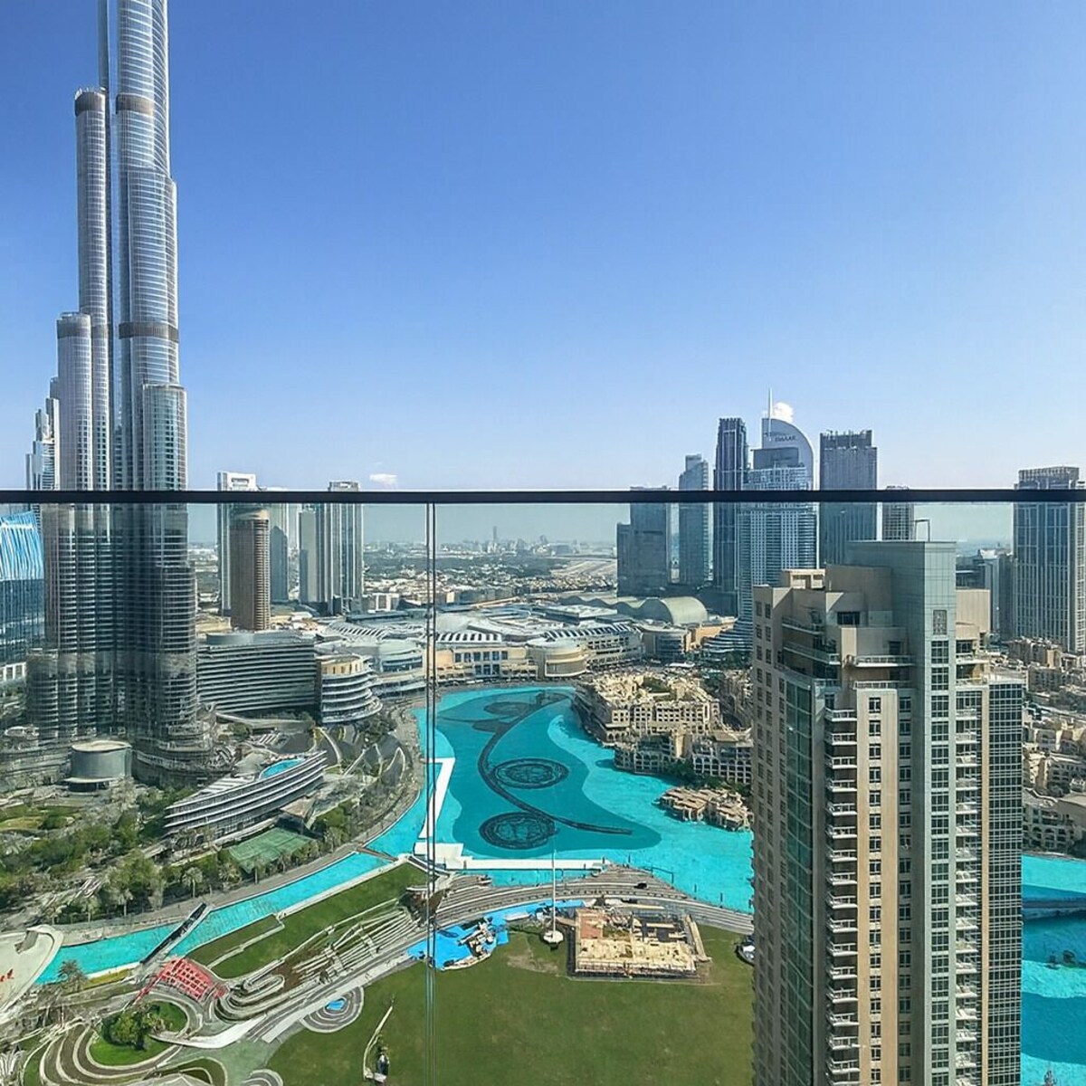 Imagen de perfil del propietario o de la propietaria