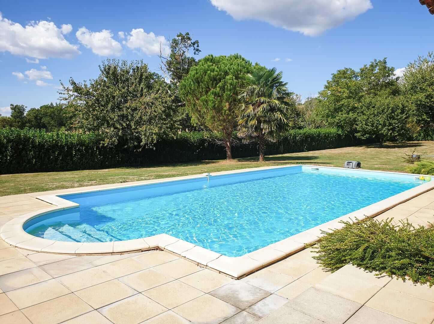 Una piscina rectangular con borde curvo, rodeada por una solana con baldosas.