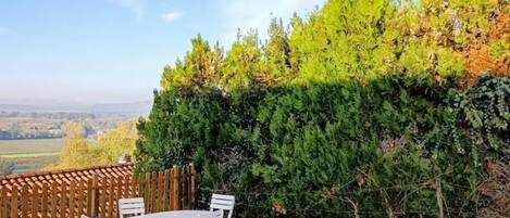 Opções para refeição ao ar livre