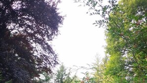 A rustic wooden house with a steep roof, surrounded by lush greenery and a variety of plants. - Gîtes de France® - The Chalet (PINSAC)