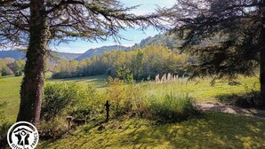 Un paisaje rural con un árbol, campos cubiertos de hierba y colinas lejanas.