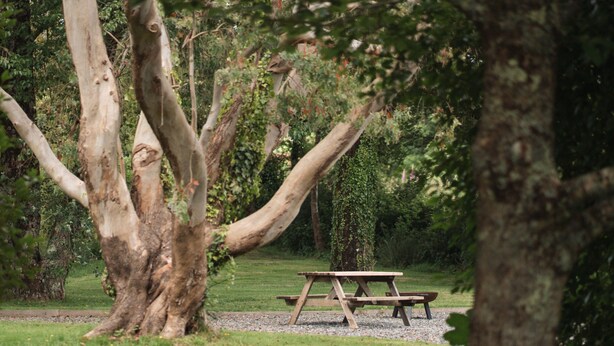 A picnic table in a park with trees and grass. - Family En-suite Cabin in South Pembrokeshire (Tenby)
