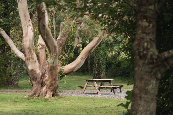 A picnic table in a park with trees and grass.