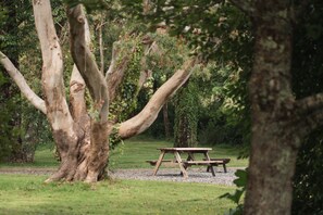 A picnic table in a park with trees and grass. - Cosy En-suite Wigwam Glamping Pod (Tenby)