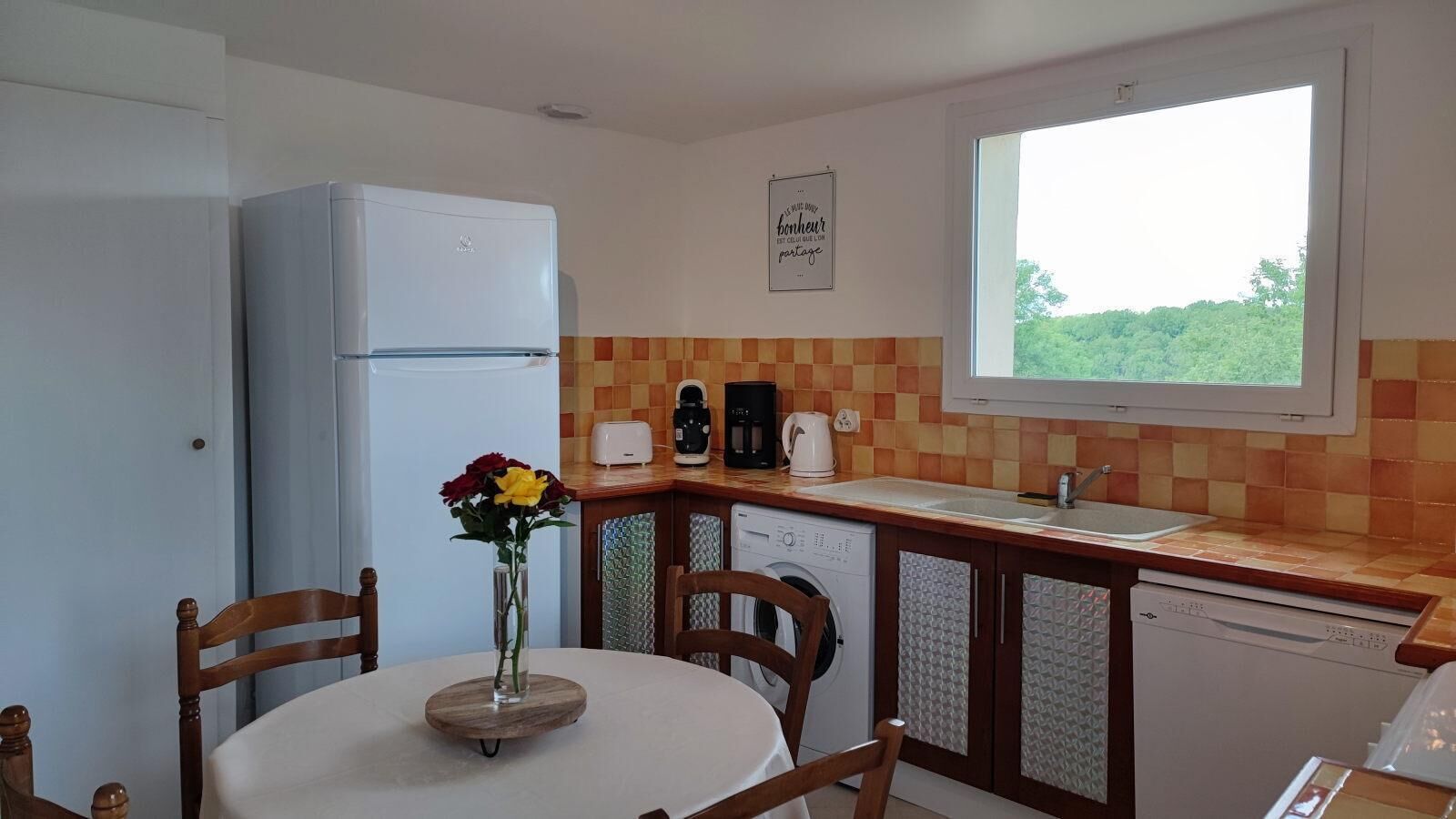 A compact kitchen with a refrigerator, washing machine, and a window overlooking greenery.