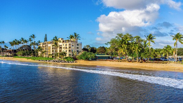A beachfront hotel with multiple floors, a sandy beach, and palm trees.