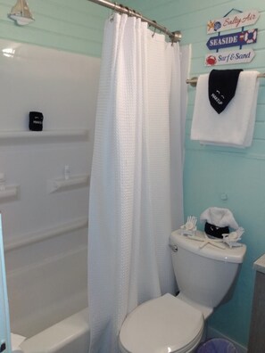 Hair dryer, towels, soap, toilet paper