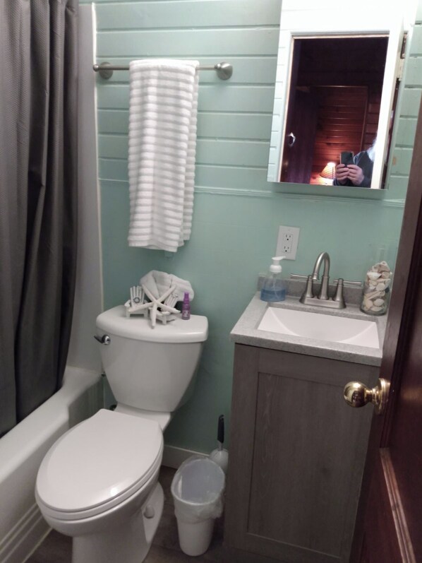 Hair dryer, towels, soap, toilet paper