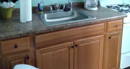 1 bed, 1 bath Central DM by VA Hospital North of Drake University No Stairs.