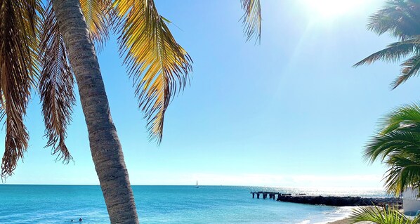 Beach - KCB-access Private Cabana Club,Dock on Canal,PET Friendly, Pickle ball courts (Marathon)