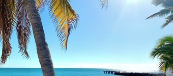 KCB-access Private Cabana Club,Dock on Canal,PET Friendly, Pickle ball courts