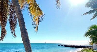 KCB-access Private Cabana Club,Dock on Canal,PET Friendly, Pickle ball courts