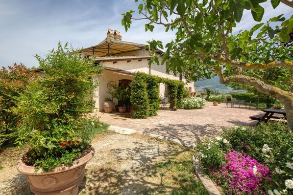 Terrace/patio - Villa il Barco by MMega (Spello)