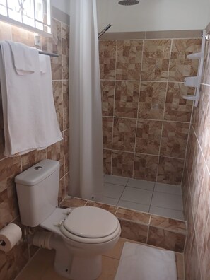 Hair dryer, towels, soap, toilet paper