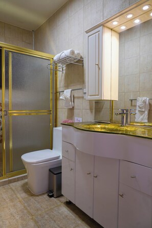 Shower, hair dryer, towels, toilet paper
