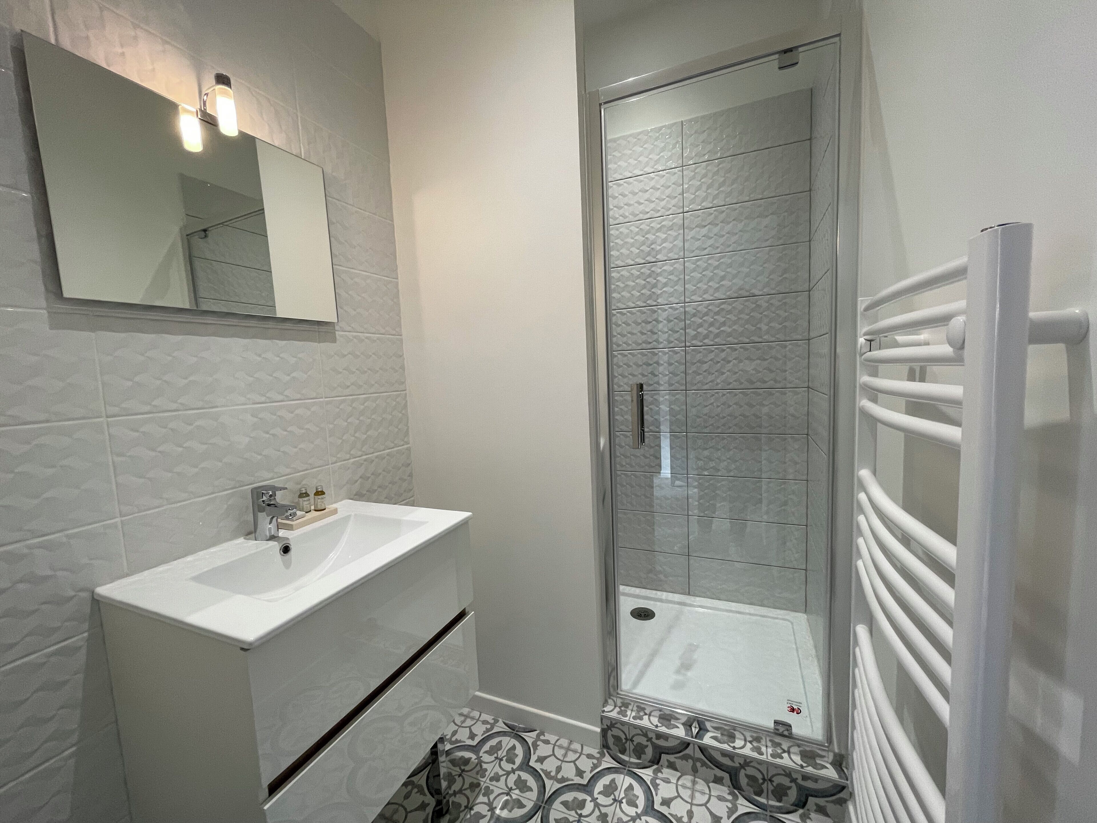 Shower, hair dryer, towels