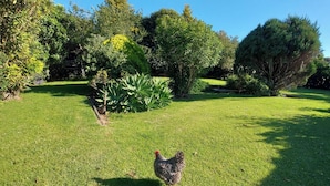 Un jardín bien cuidado con diversas plantas y césped.