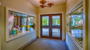 A hallway with a wooden ceiling, a glass door, and windows displaying various items.