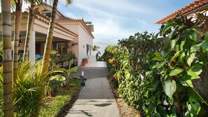 A pathway leading to a building with a tiled roof, surrounded by lush greenery and palm trees.