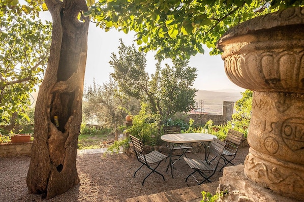 A garden patio with a table and chairs, a stone pillar, and a tree with a hole in its trunk.