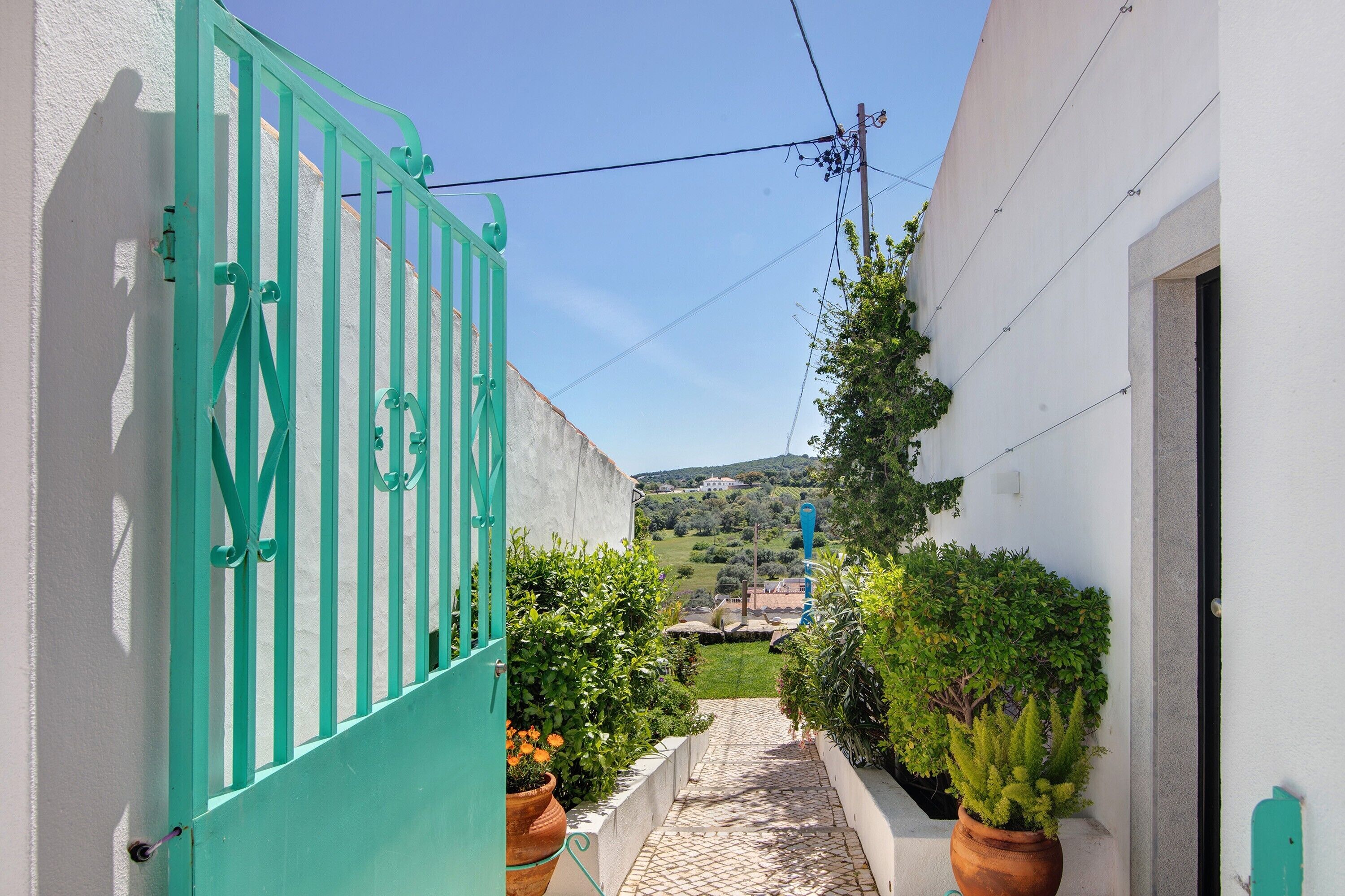 Un sendero estrecho que lleva a un edificio con una puerta verde, plantas en macetas y vistas a una colina.