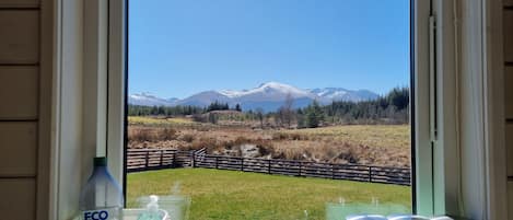 Cabin, 1 Bedroom | Private kitchen | Fridge, microwave, oven, electric kettle