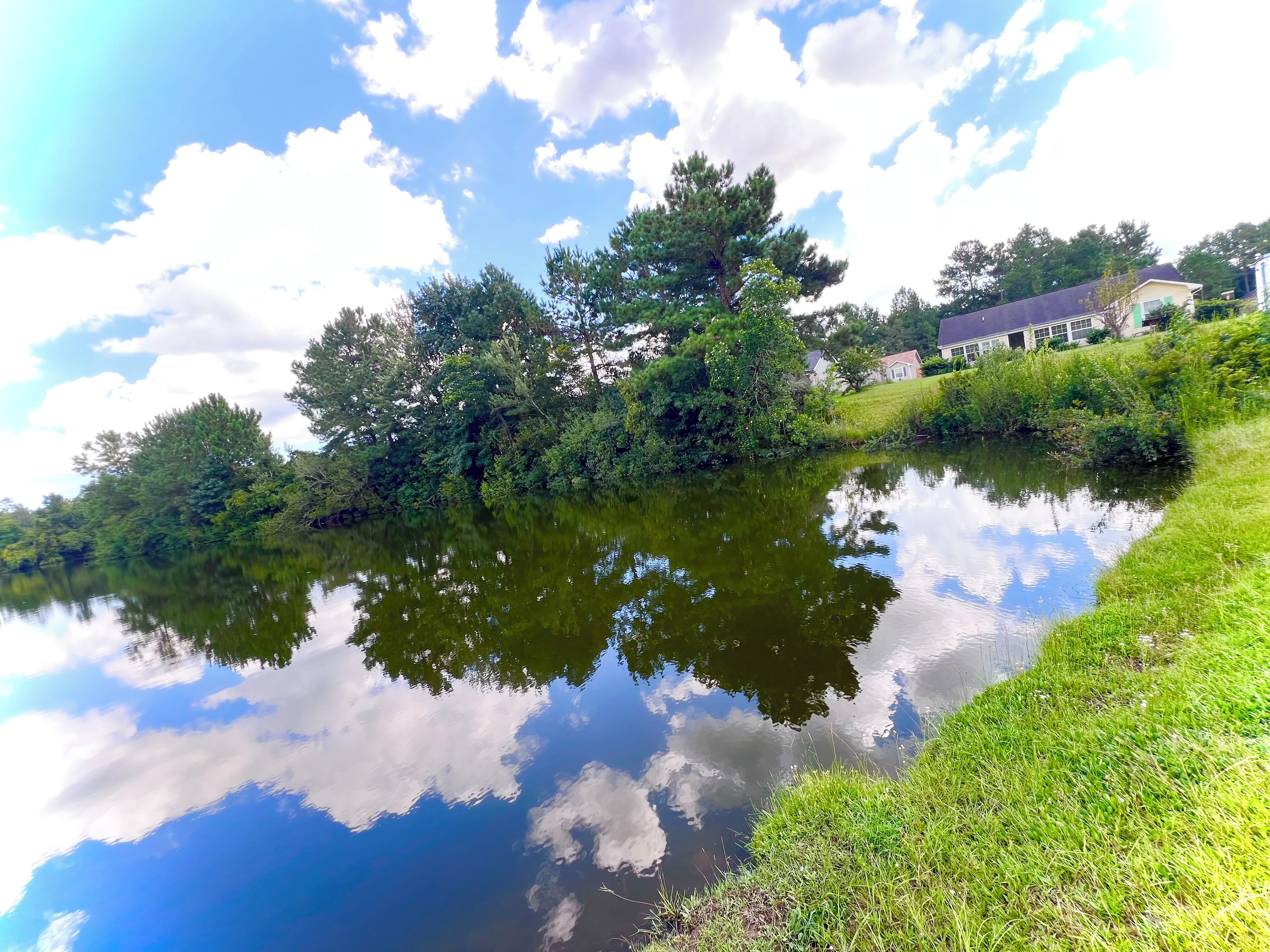 Un lago tranquillo con i riflessi di alberi e un cielo sereno.