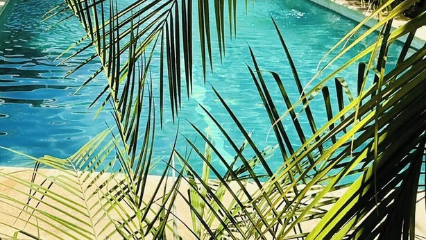 A swimming pool surrounded by palm trees, with a building in the background. - Lovely 2 bedroom home with large Private salt water pool in beautiful Tamarindo. (Tamarindo)