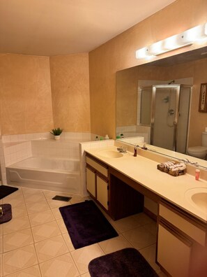 Shower, jetted tub, hair dryer, bidet