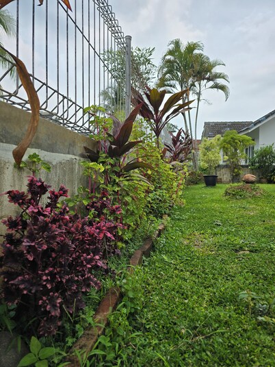 Pet friendly villa 2.5 hour drive from Jakarta