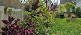 Pet friendly villa 2.5 hour drive from Jakarta